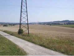 Pšenice ozimá v Lukavici u Žamberka. (zobrazeno 65x)