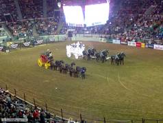 Rodeo (2) (zobrazeno 48x)