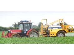 NS + Chafer (2) (zobrazeno 48x)