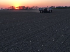 Robotické setí kukuřice v záři zapadajícího slunce (zobrazeno 45x)