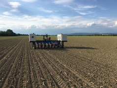 Robotické plečkování kukuřice zaseté traktorem (na Olomoucku) (zobrazeno 77x)