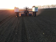 Robotické setí kukuřice při západu slunce (zobrazeno 30x)