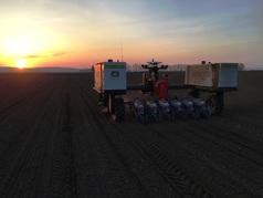 Robotické setí kukuřice při západu slunce (3) (zobrazeno 32x)