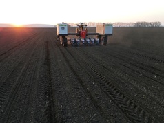 Robotické setí kukuřice při západu slunce (4) (zobrazeno 31x)