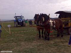 Koně vs. traktor s autopilotem (zobrazeno 12x)