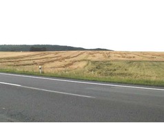 Polehnutí pšenice a ovsa u Jičína (zobrazeno 40x)