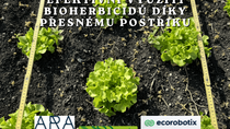 Cesta k efektivnímu využití bioherbicidů díky ultrapřesnému postřiku
